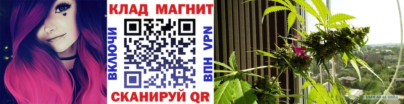 Как найти закладки Дмитров Гашиш Конопля Кокаин Меф