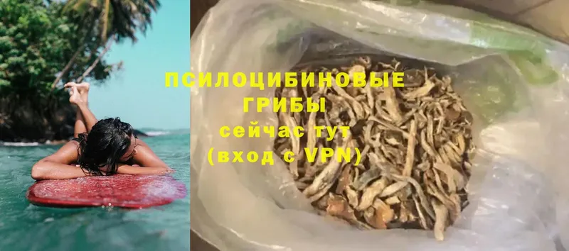 купить   ссылка на мегу ССЫЛКА  Галлюциногенные грибы Magic Shrooms  Дмитров 