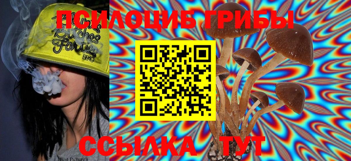 Псилоцибиновые грибы мухоморы Дмитров